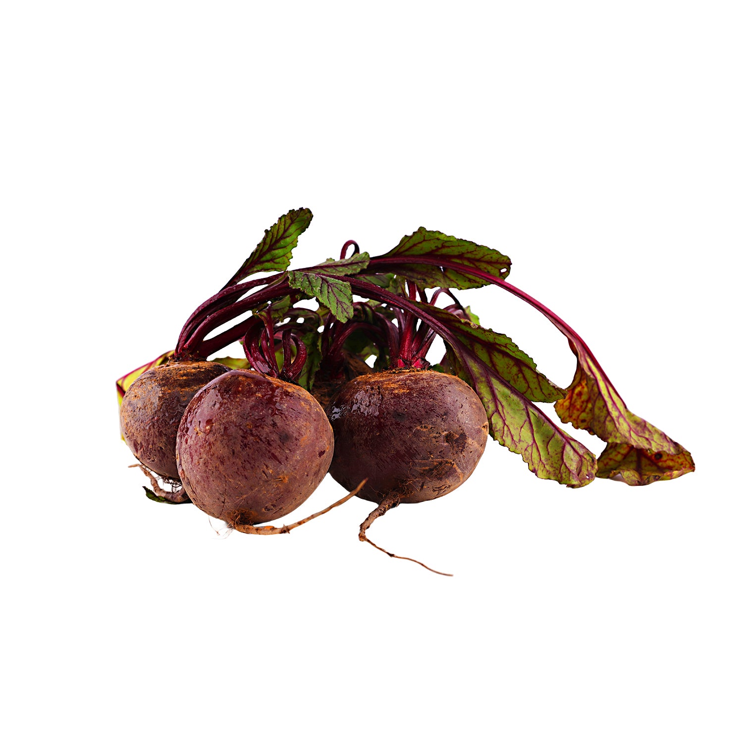 Fresh Organic Beetroot – Naturally grown, Juicy, and Pesticide-free, delivered from myHarvest Farms to Homes across Chennai.