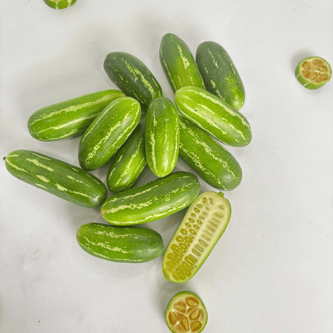 Kovakkai - Ivy Gourd