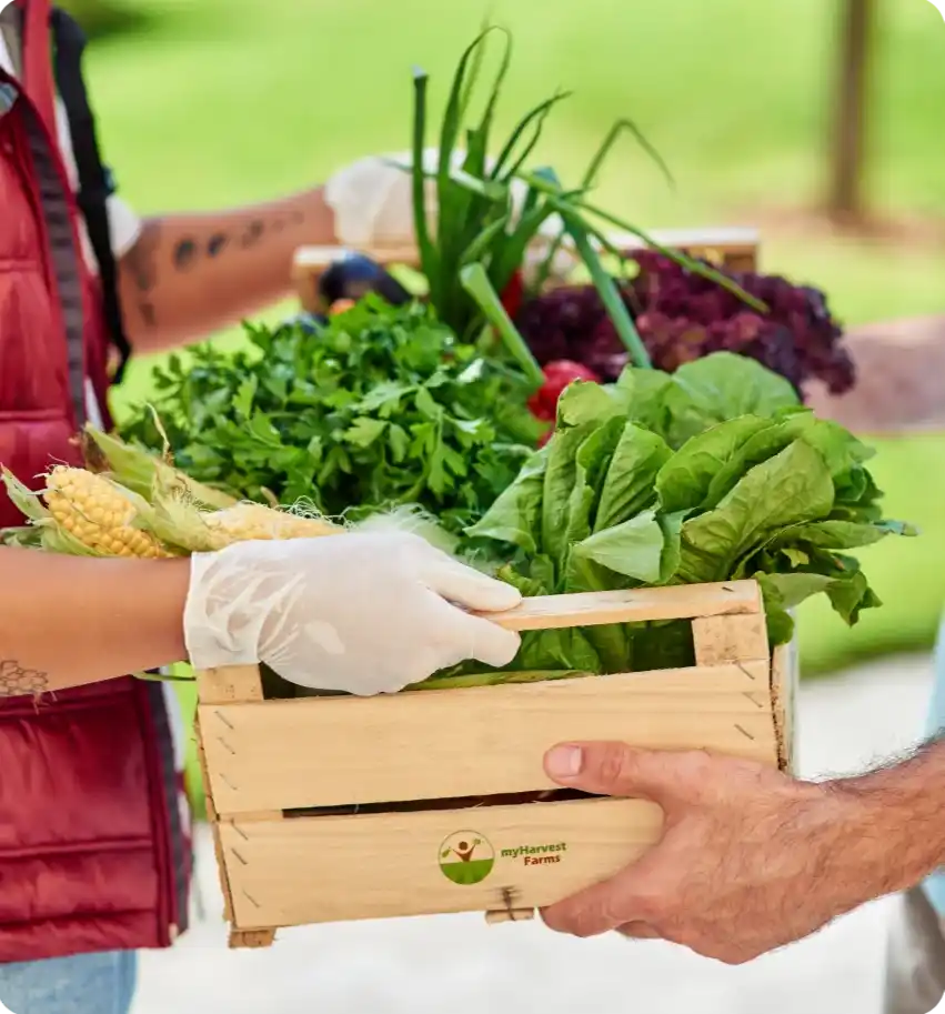Organic Vegetables and Fruits in Adyar – Fresh From Trusted Farmers to Your Home