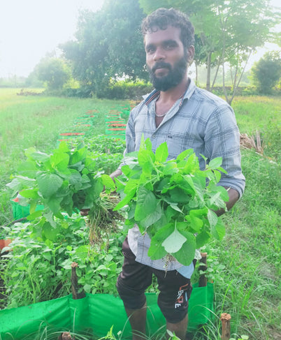 Surya Prakash - Thiruvallur