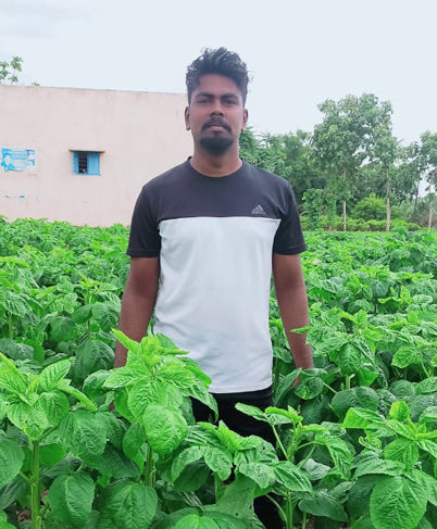 Tamilarasan & Selvaraj - Thiruvallur