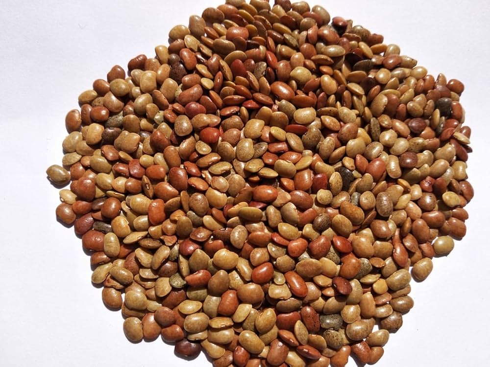 Brown Kollu - Horse Gram