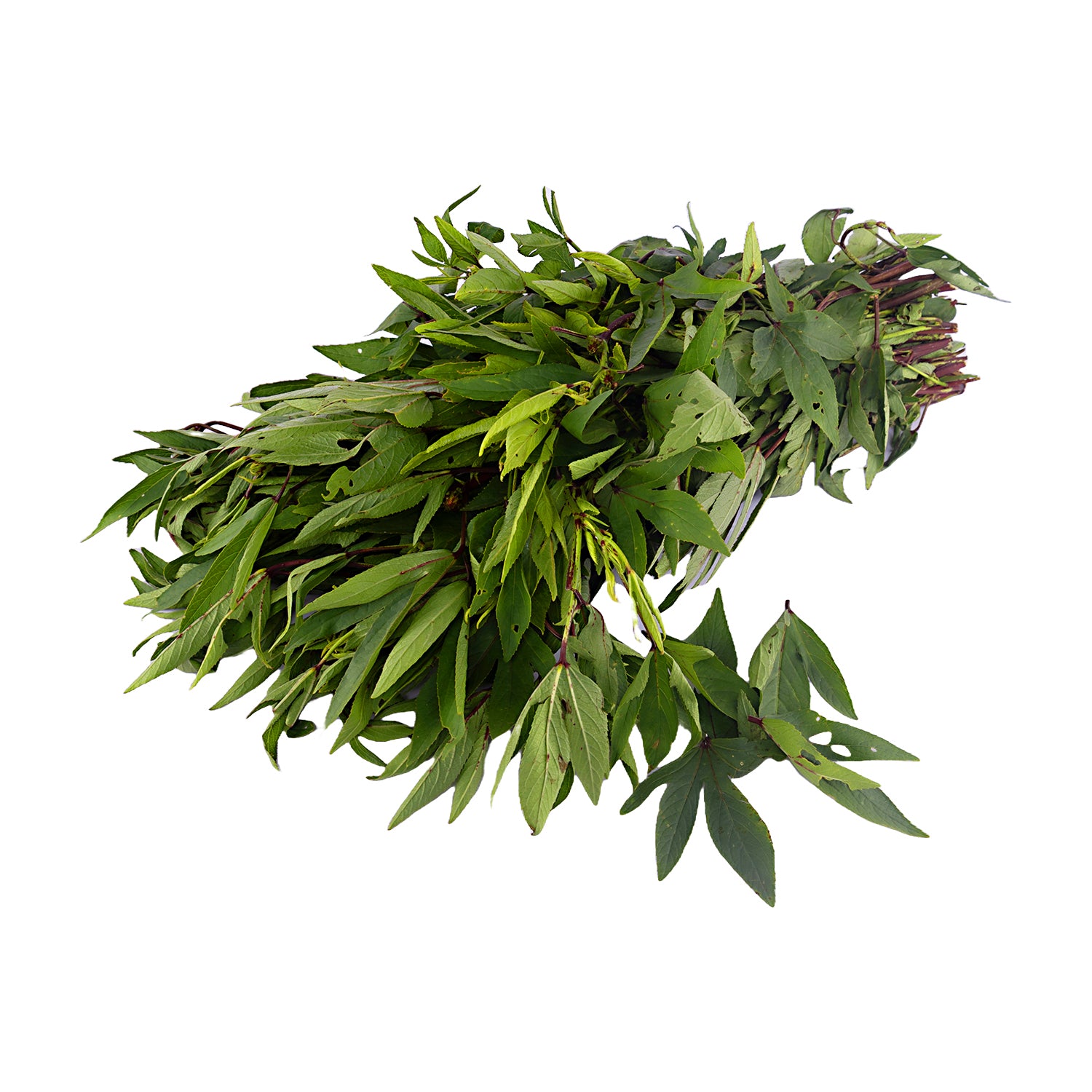 Pulicha Keerai - Gongura Leaves