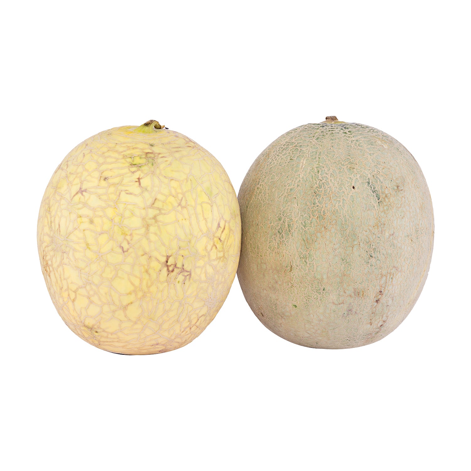 Muskmelon