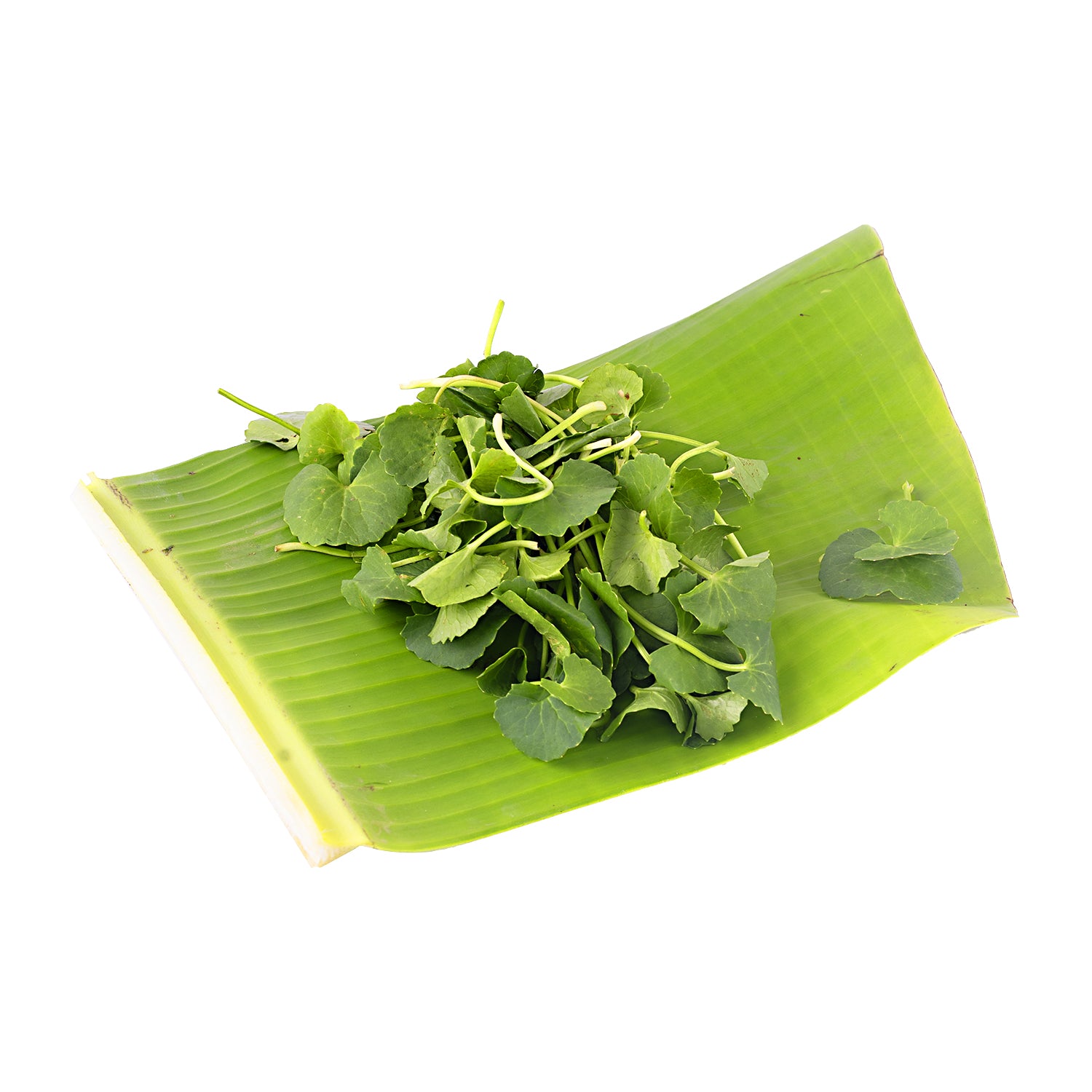 Vallarai