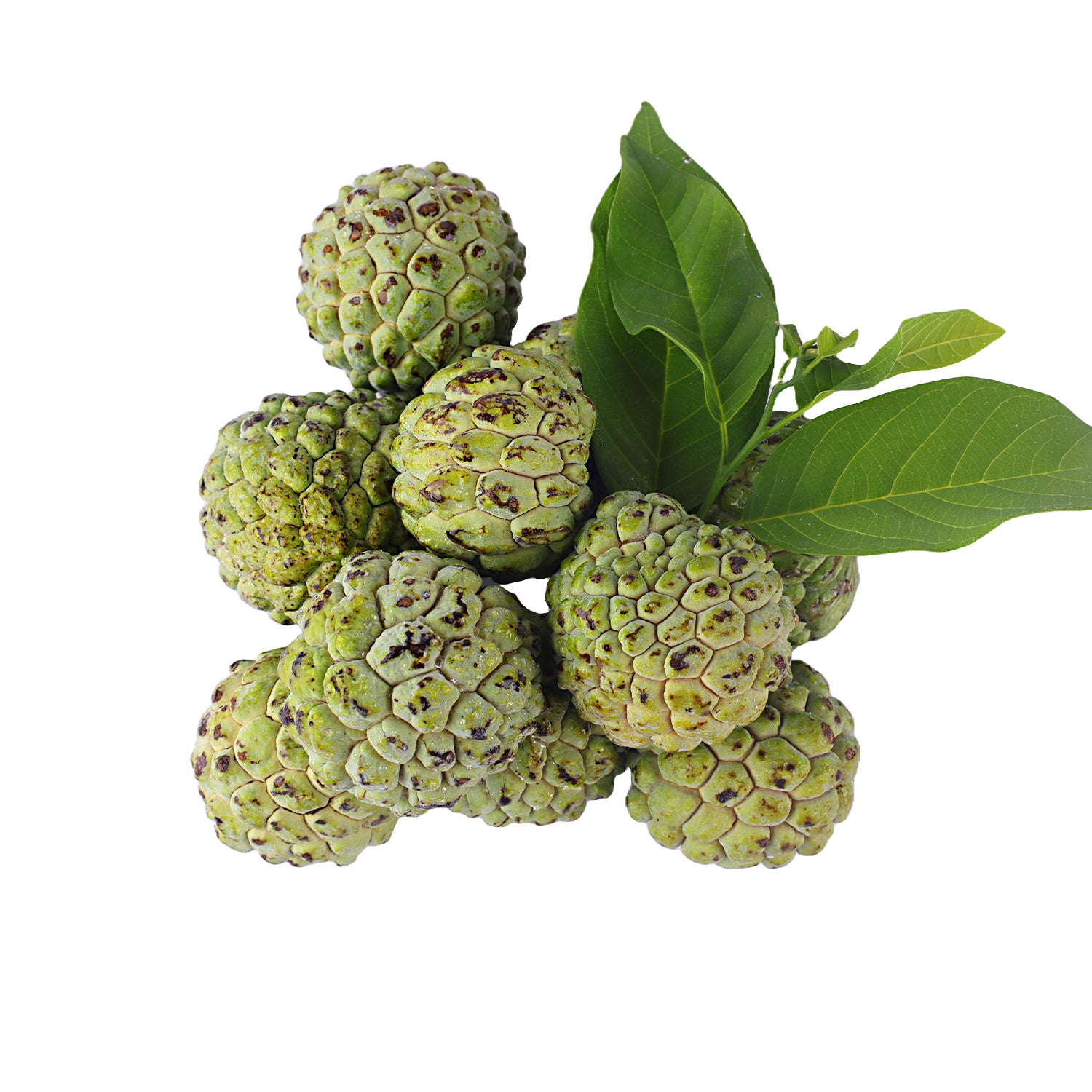 Custard Apple - Sitaphal