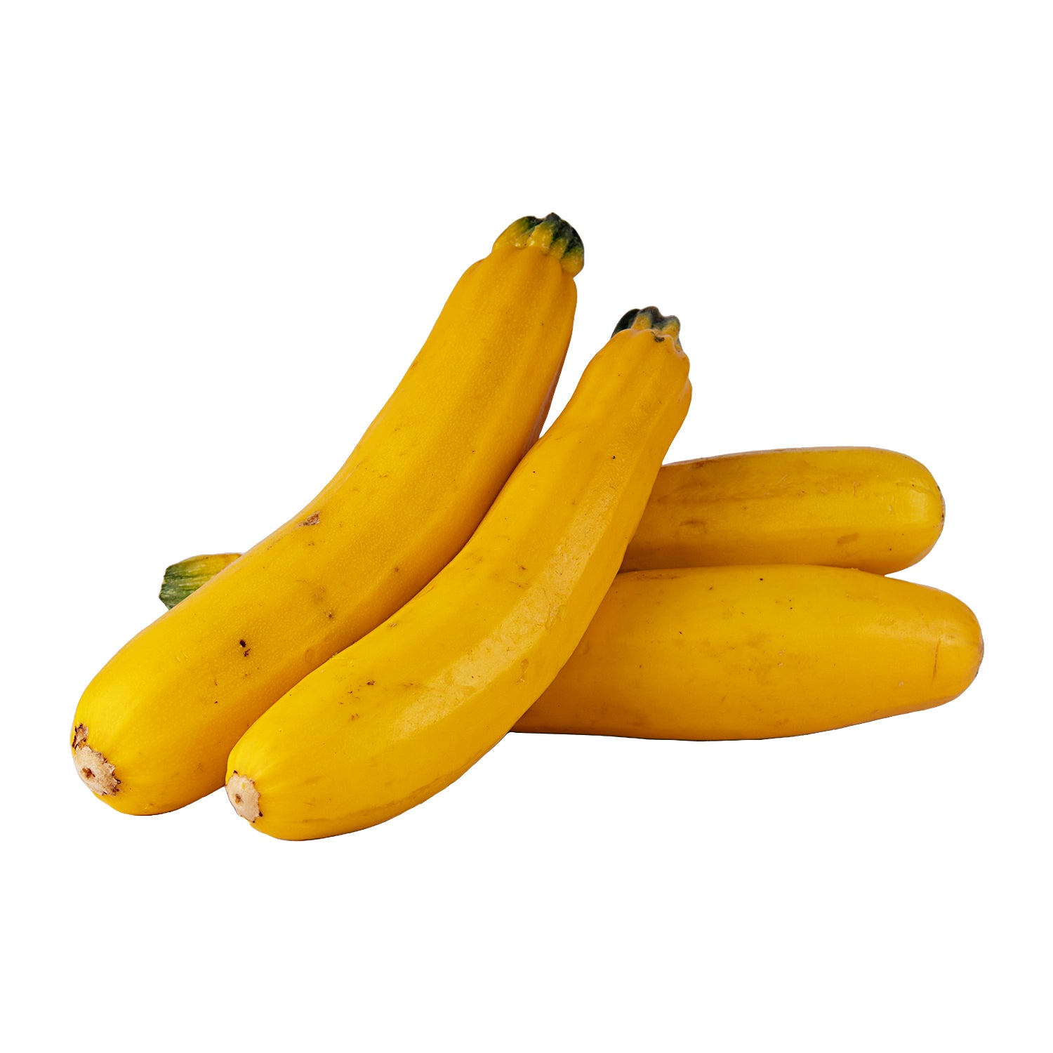 Naturally grown Yellow Zucchini from myHarvestFarms –Freshly delivered across Chennai