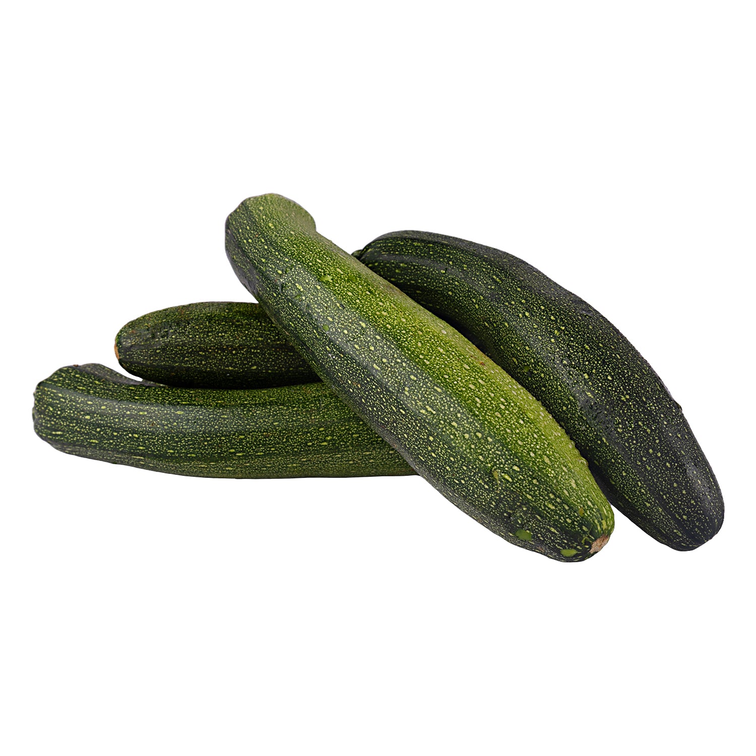 Tender Green Zucchini from myHarvestFarms – organically grown 