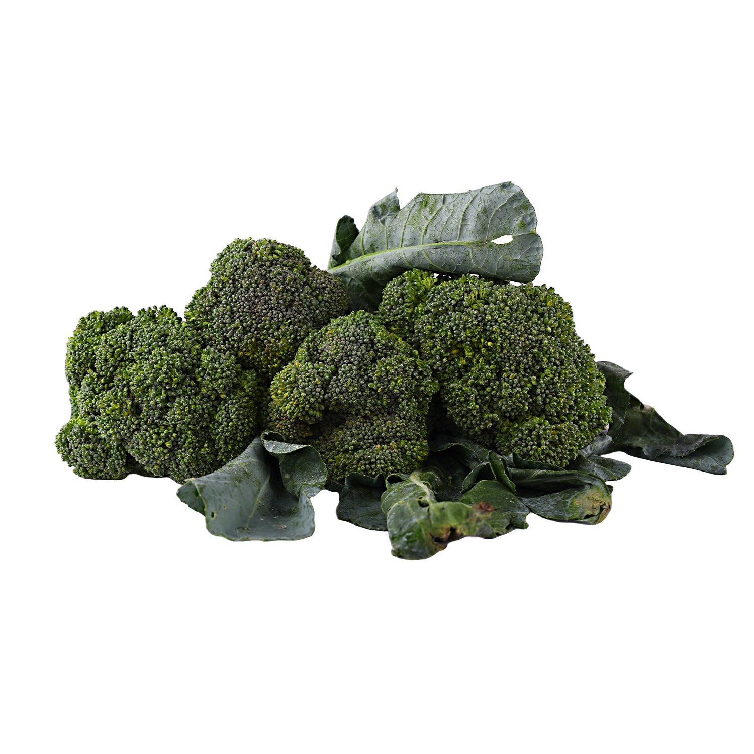 Farm Fresh Organic Broccoli – grown without Chemicals and Rich in Natural Nutrients.
