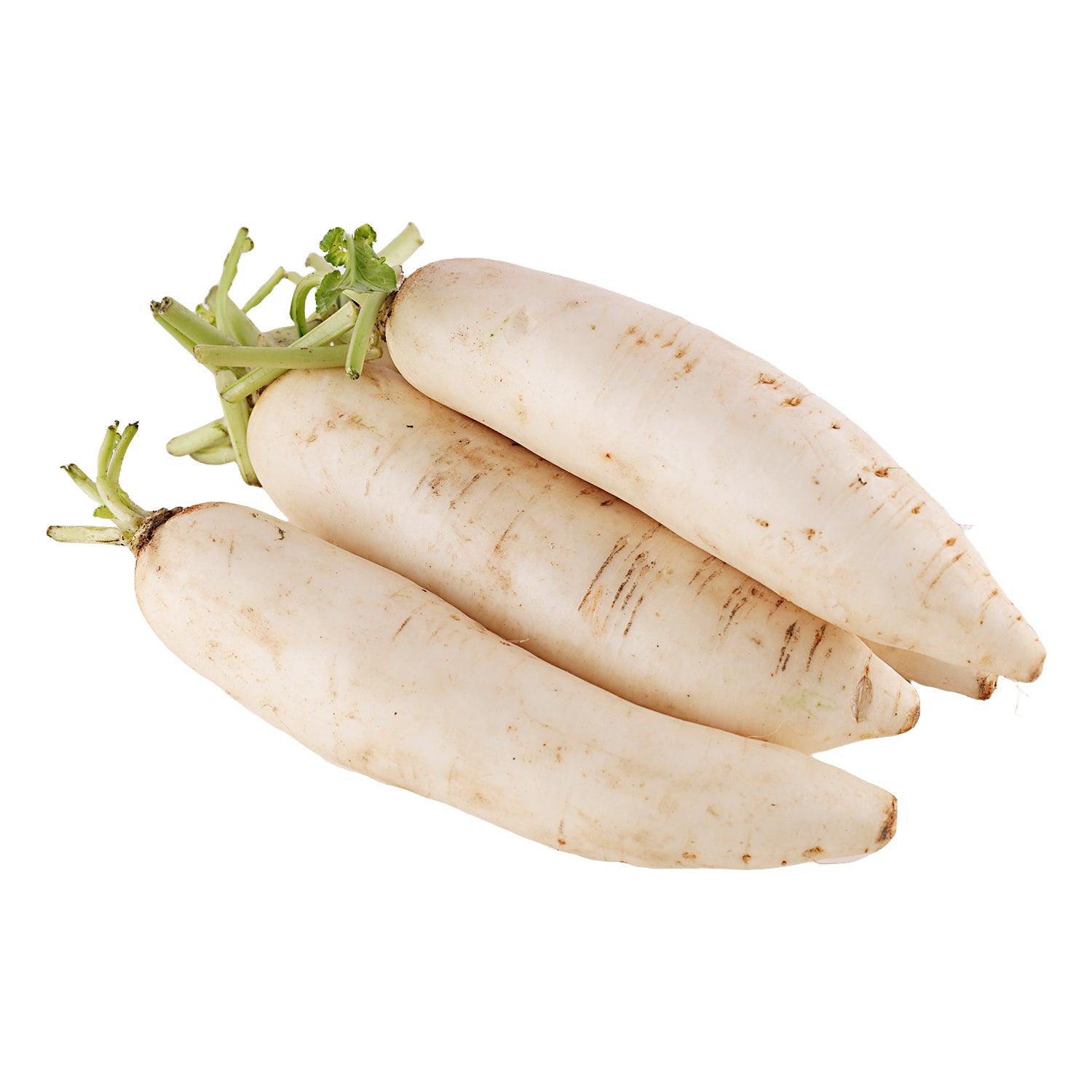 Radish (White)