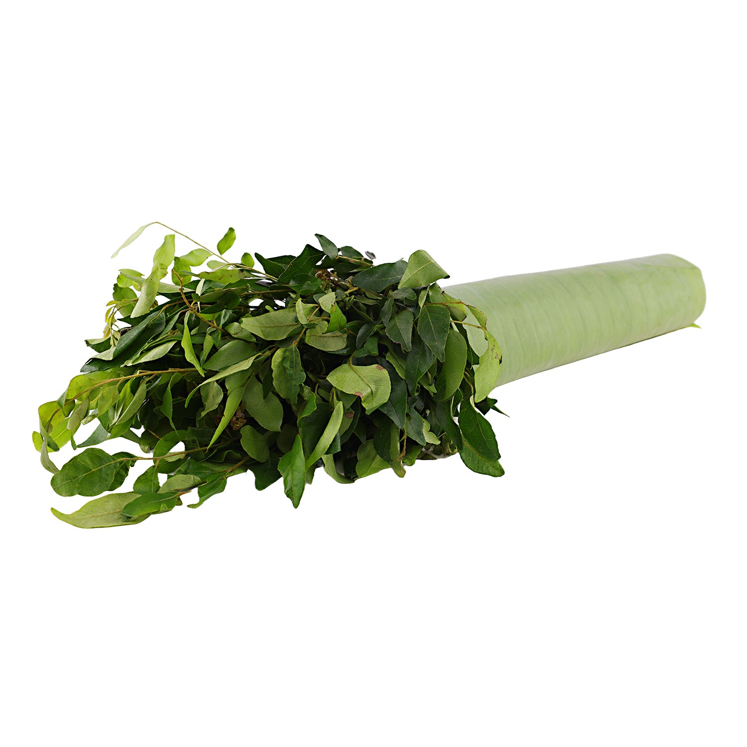 Curry Leaves