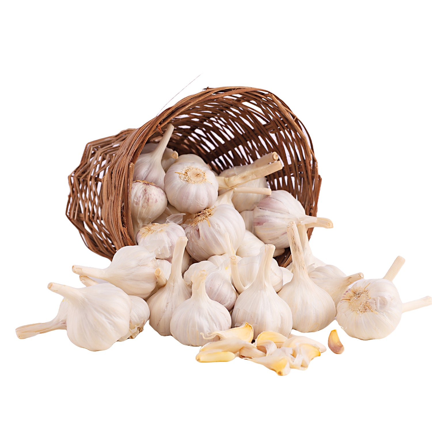 Garlic - Small