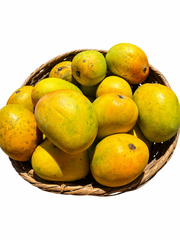 Alphonso Mango