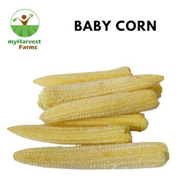 Baby Corn