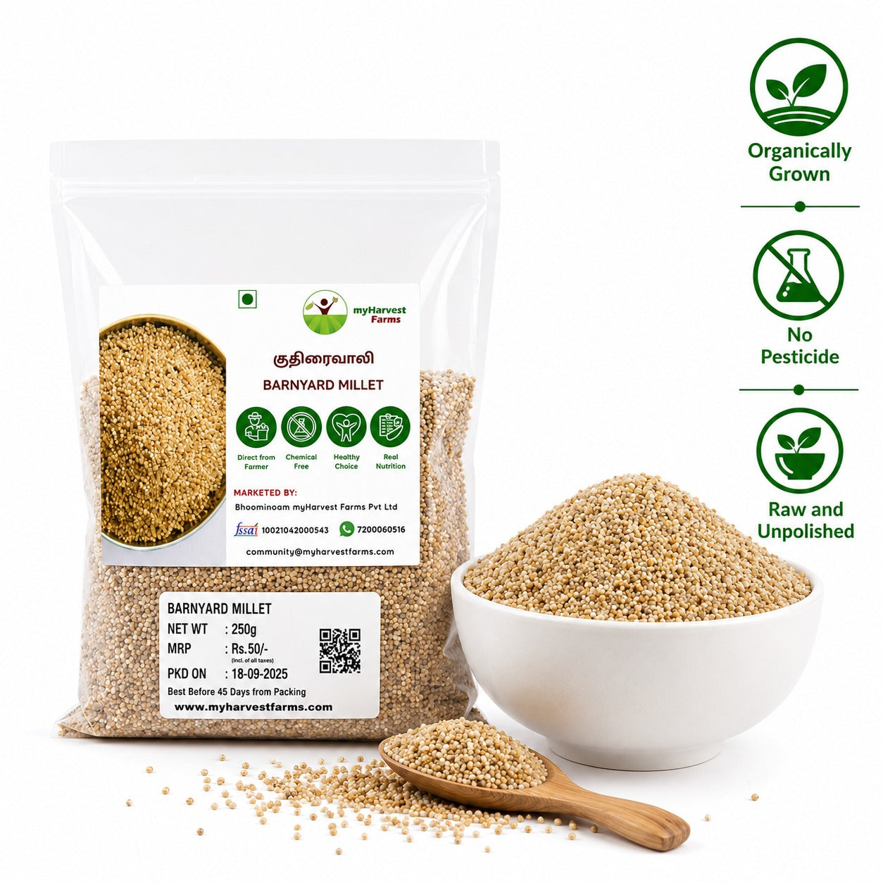 Kuthiraivaali - Barnyard Millet