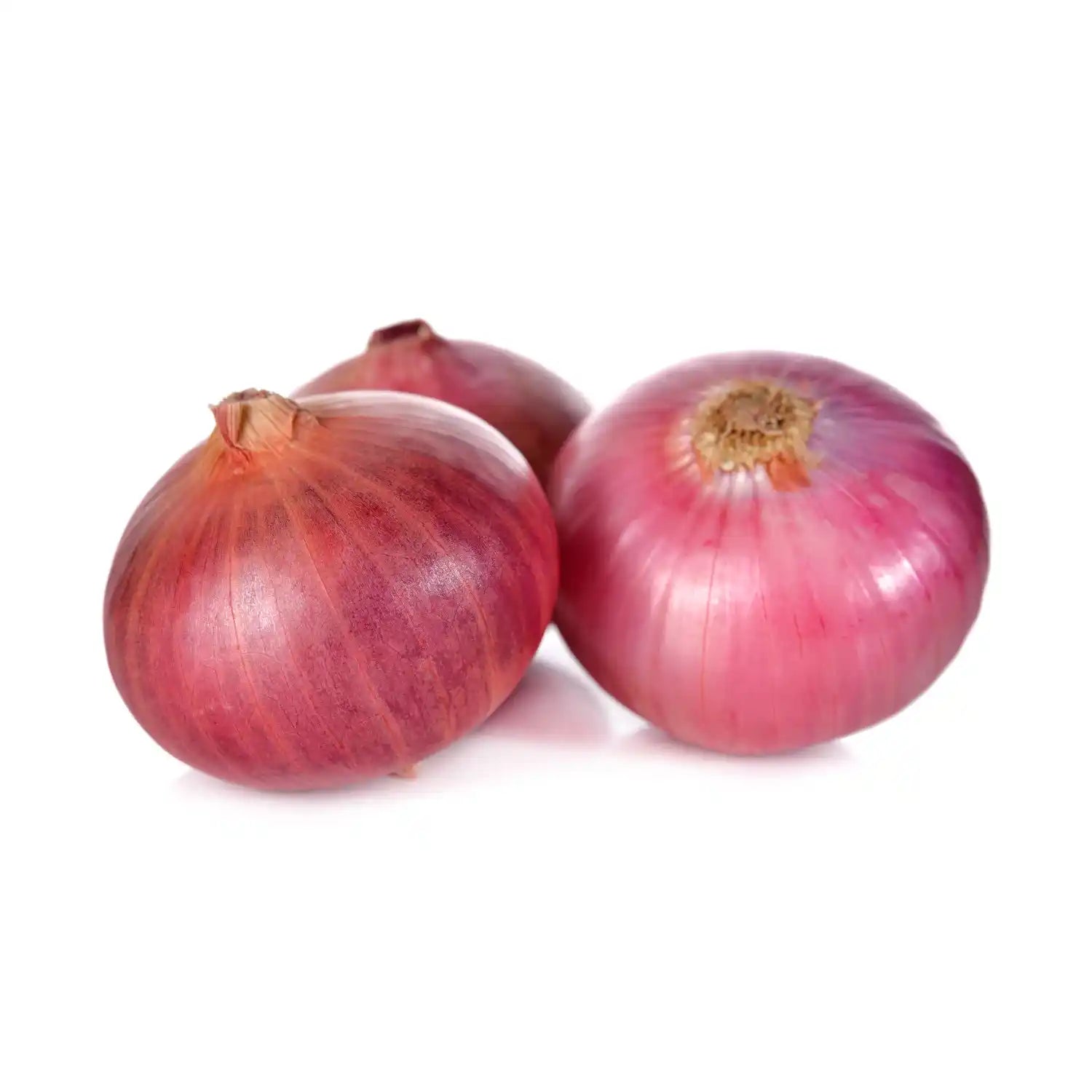 Fresh big onion organically grown and harvested by local Tamil Nadu farmers — myHarvest Farms
