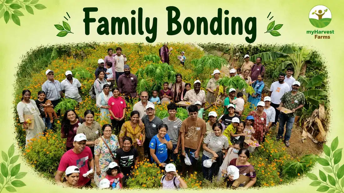 myHarvest Farms