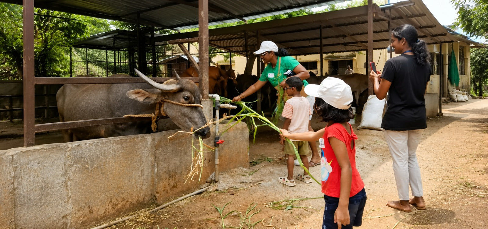 myHarvest Farms