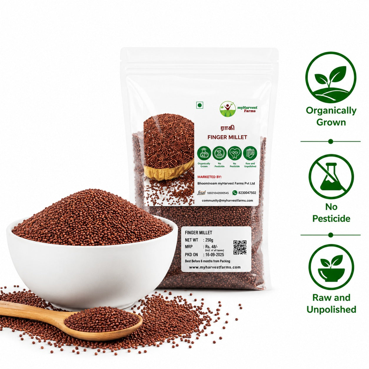 Ragi - Finger Millet