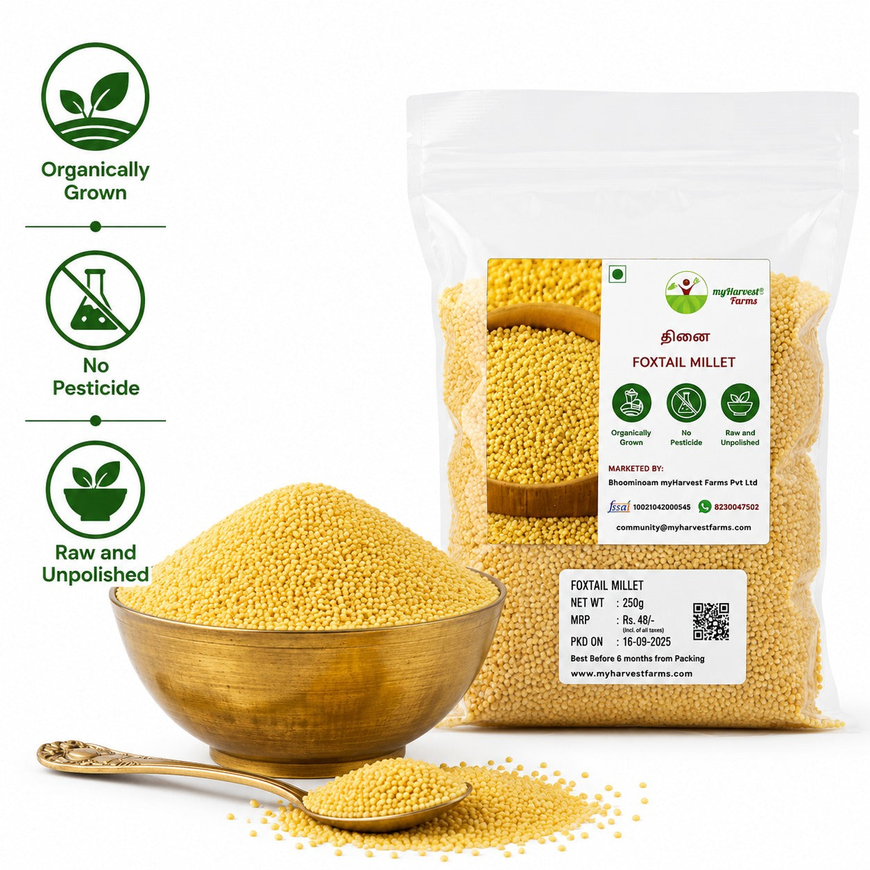 Thinai - Foxtail Millet