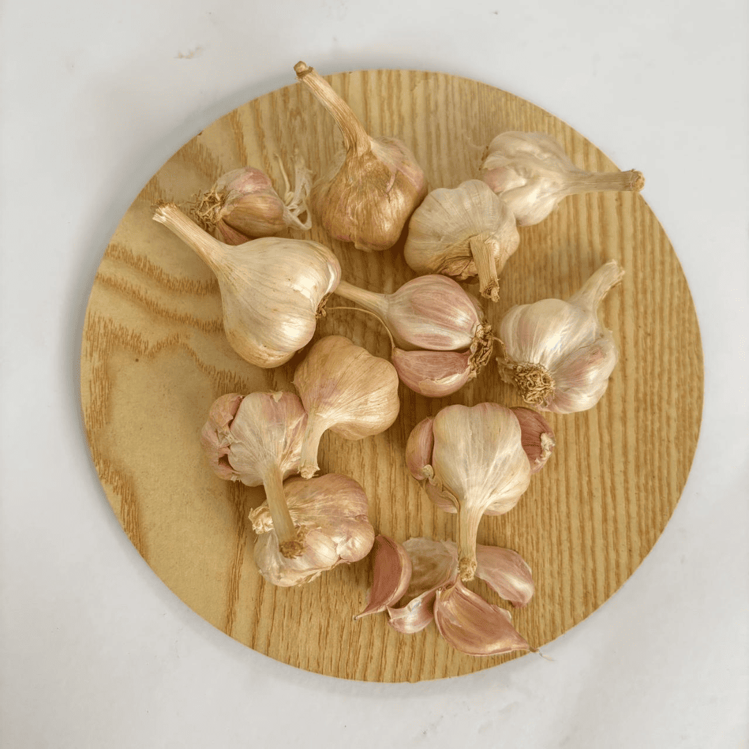 Hill Garlic