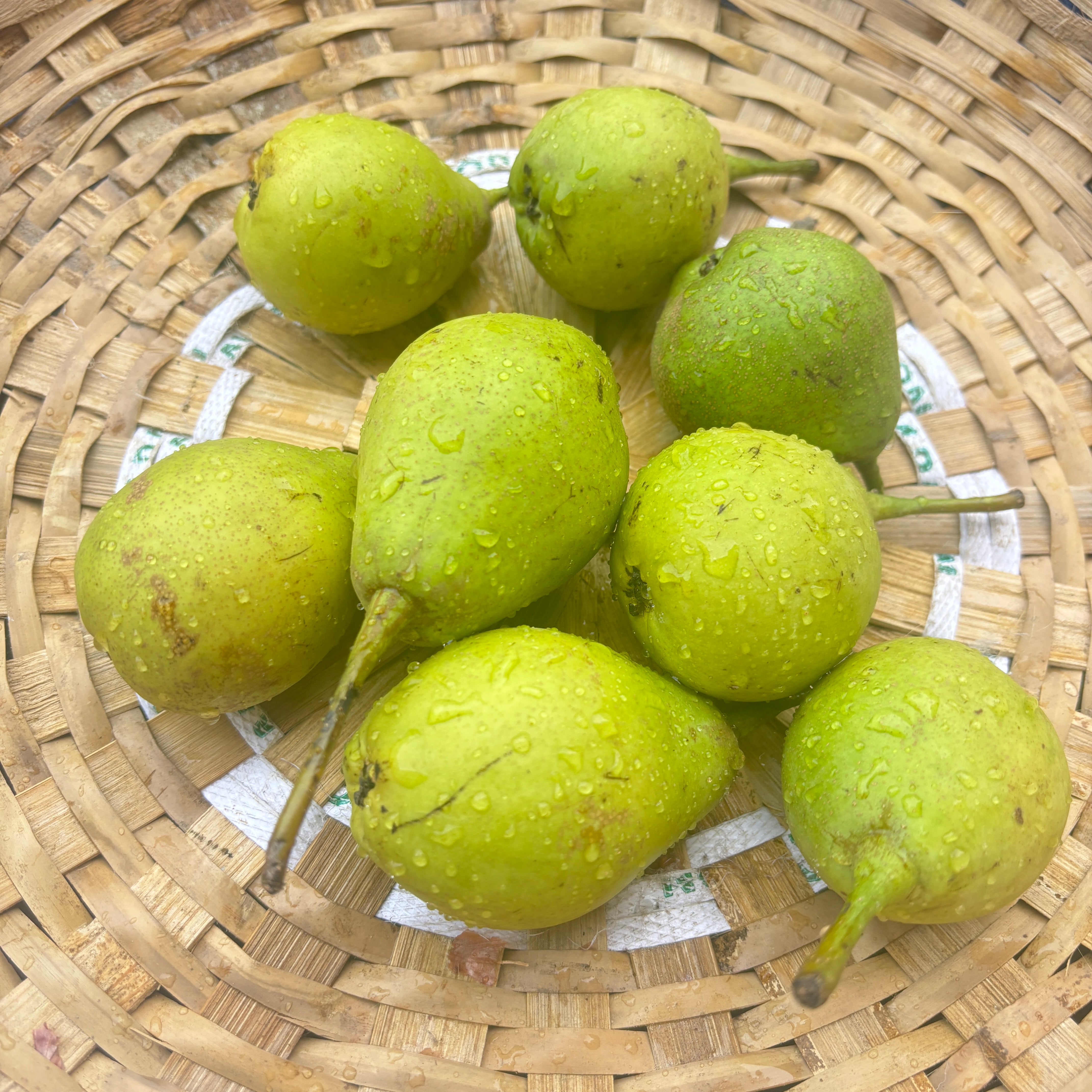 Pears