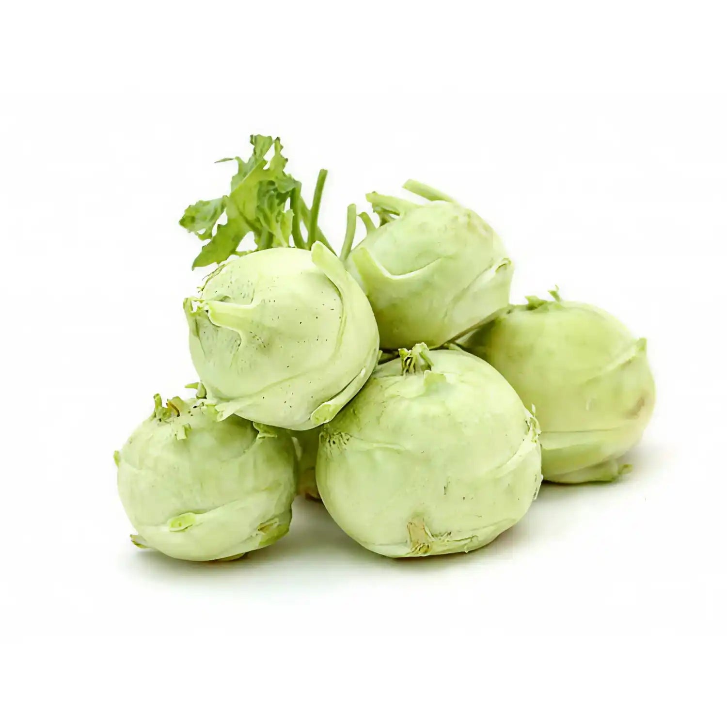 Knol Khol