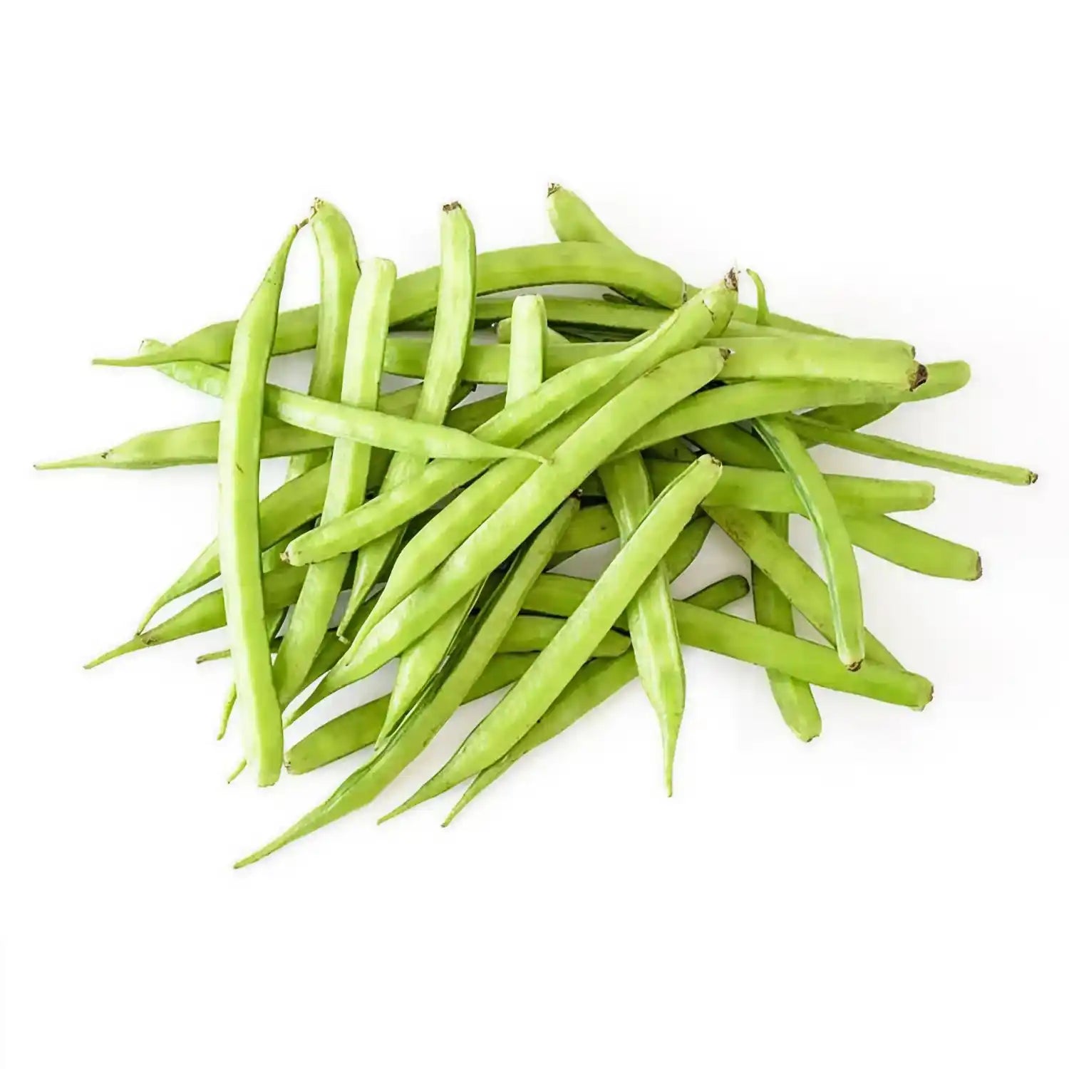 Fresh kothavarai or cluster beans, organically grown and carefully harvested by local farmers