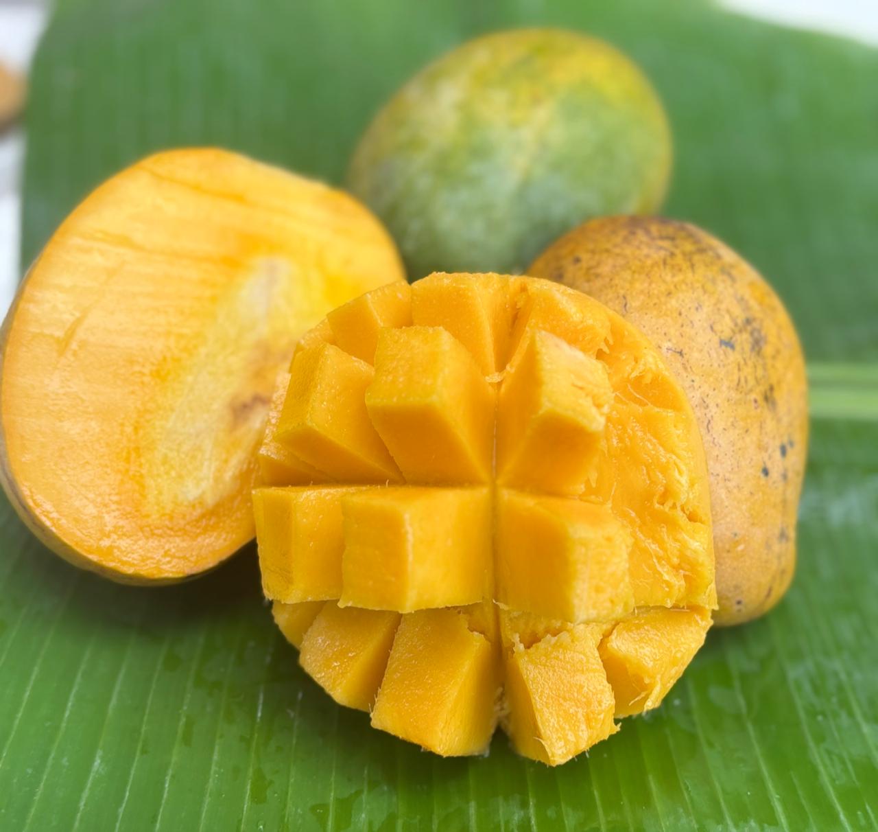 Neelam Mango