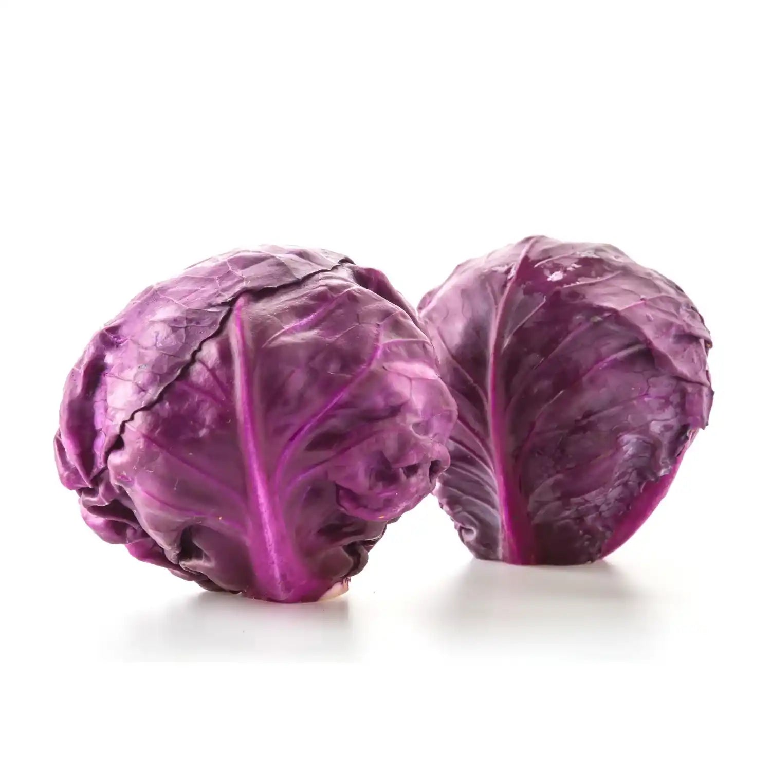 Fresh red cabbage, organically grown and carefully selected from trusted farmers