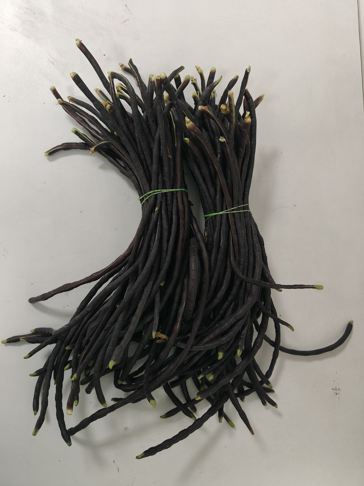 Red Kaaramani - Long Beans Red
