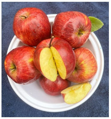 Royal Apple
