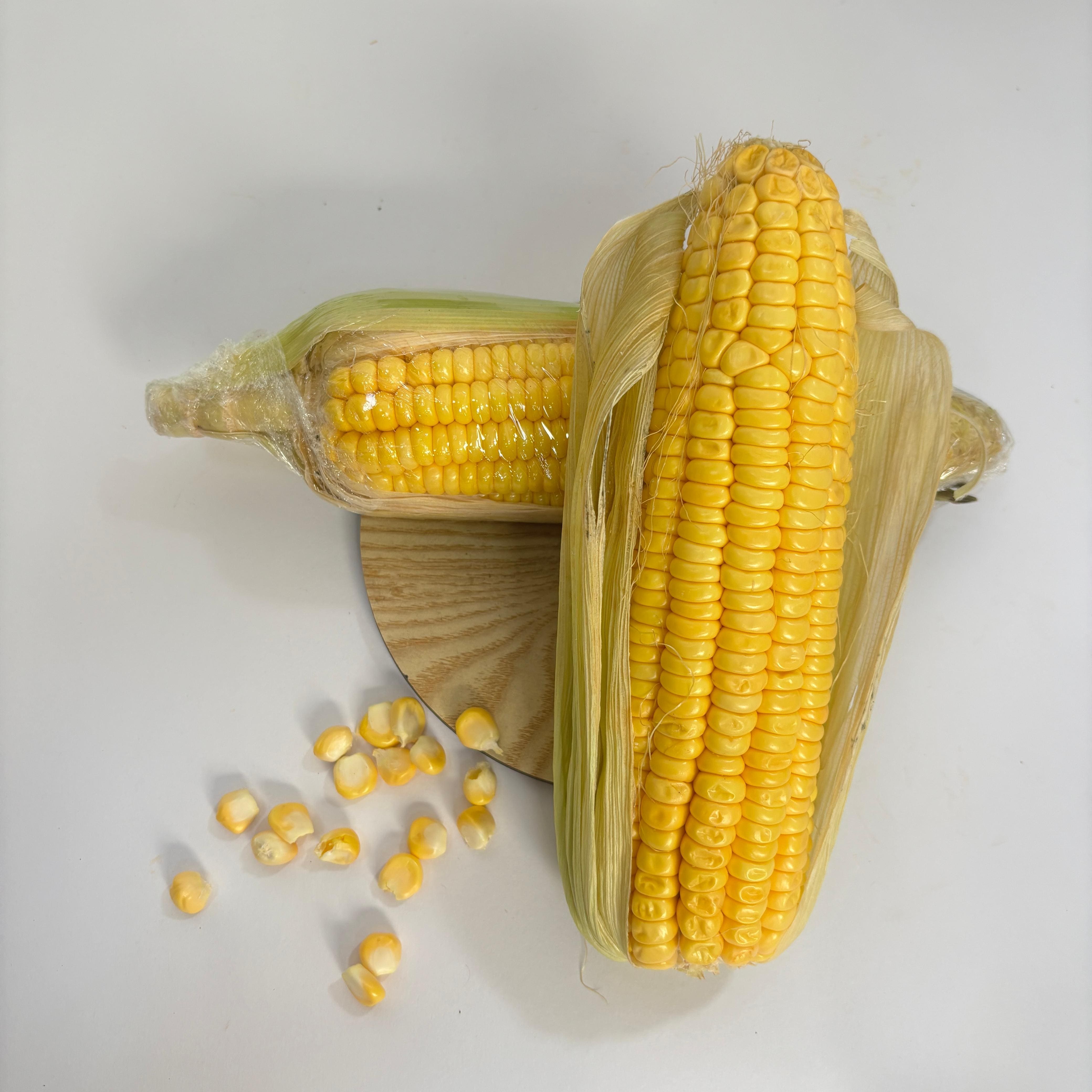 Sweet Corn