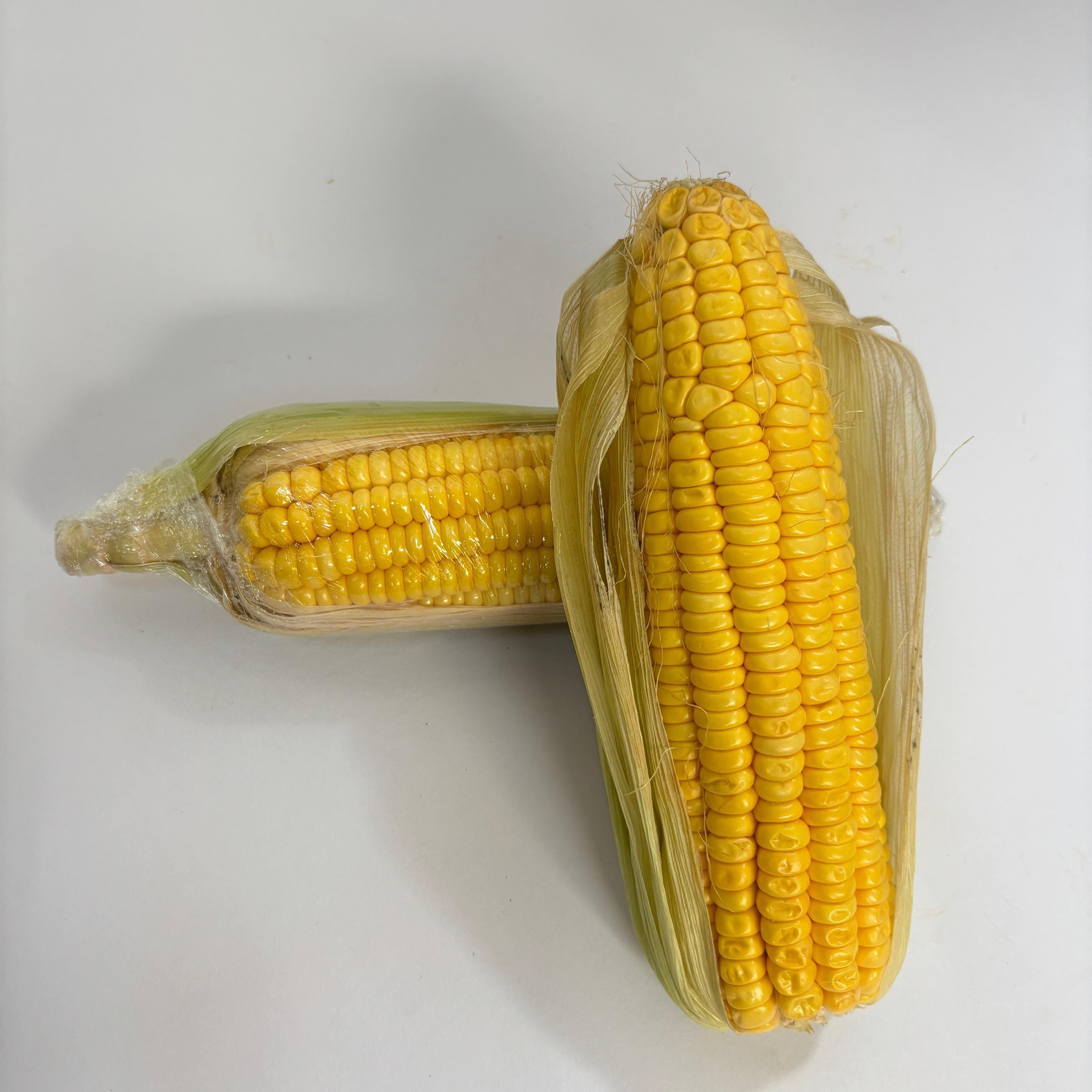 Sweet Corn