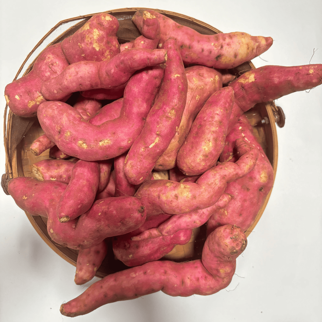 Sweet Potato