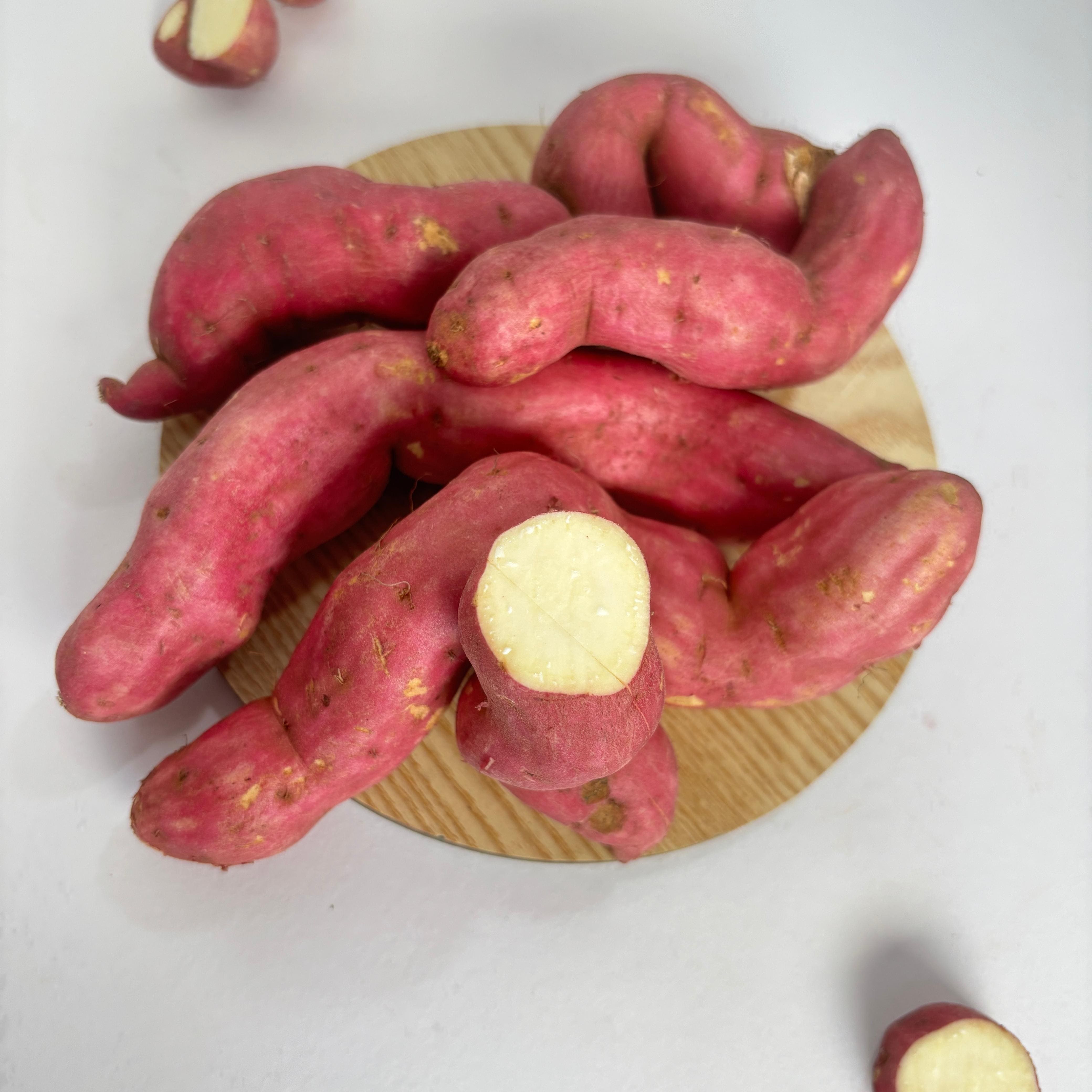 Sweet Potato