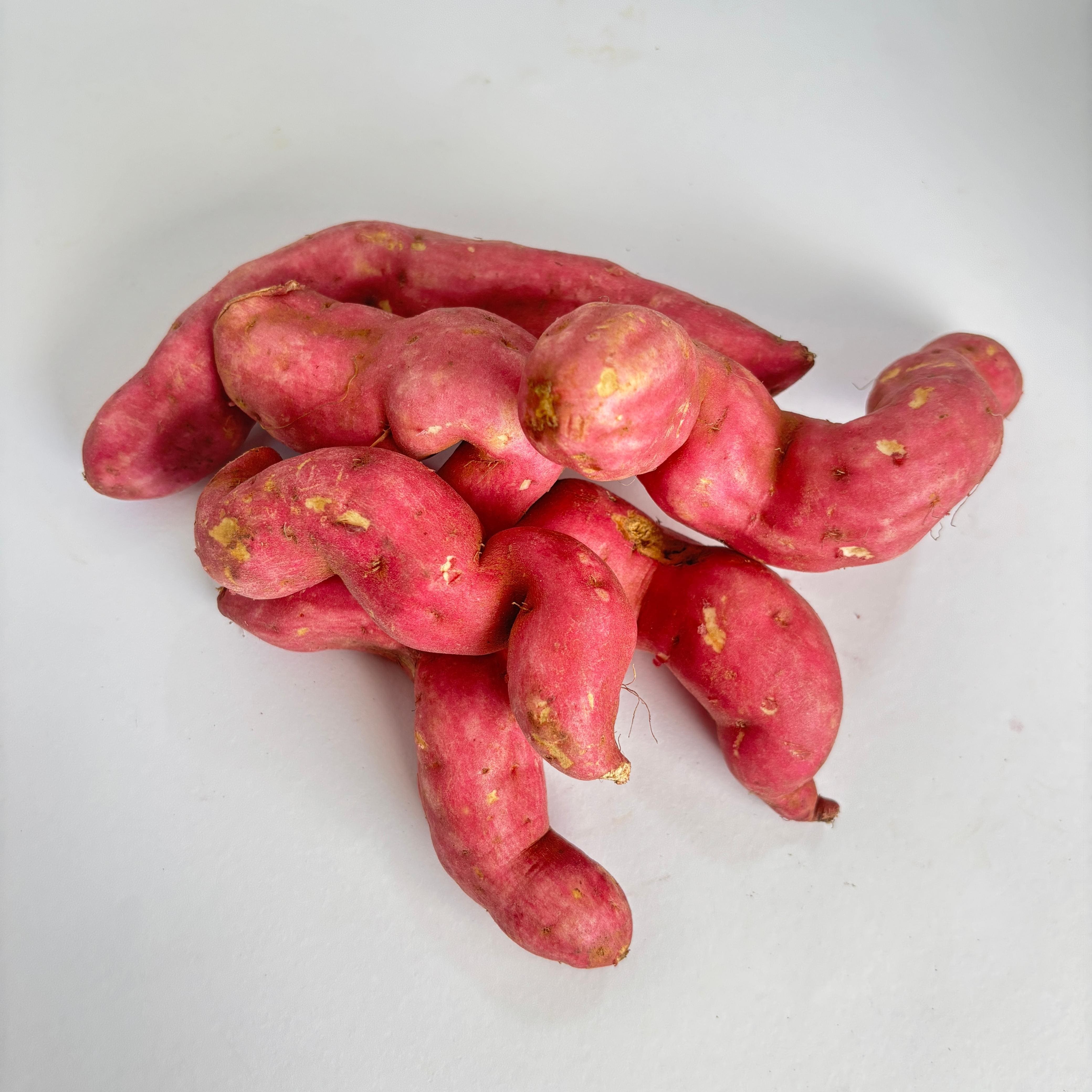 Sweet Potato