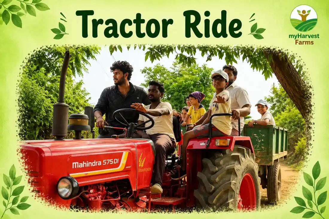 myHarvest Farms