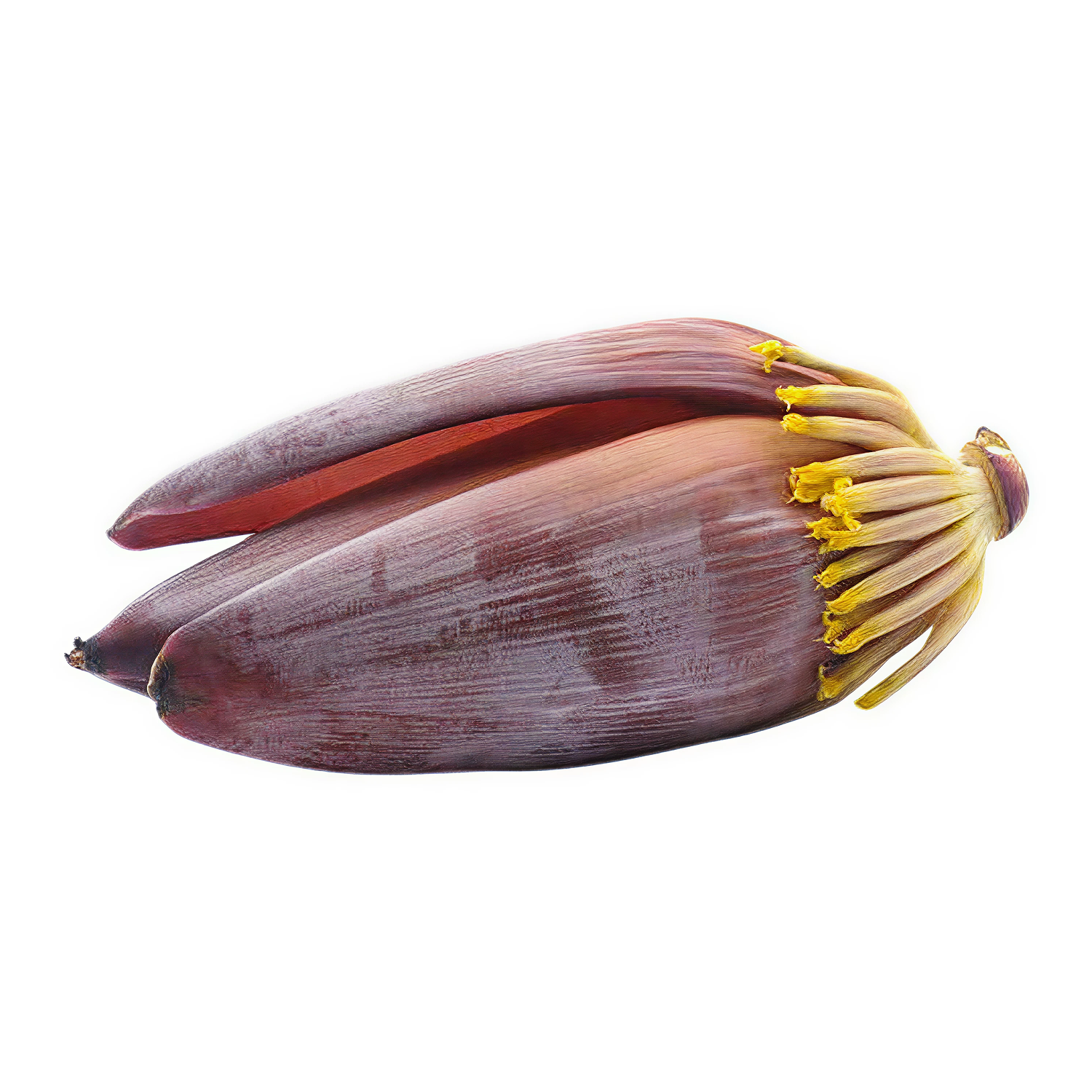 Vazhaipoo - Banana Flower