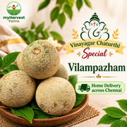Vilampazham