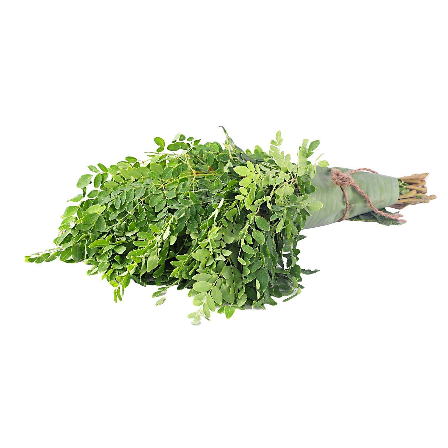 Murungai Keerai (Drumstick Leaves)