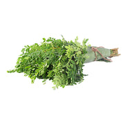 Murungai Keerai (Drumstick Leaves)