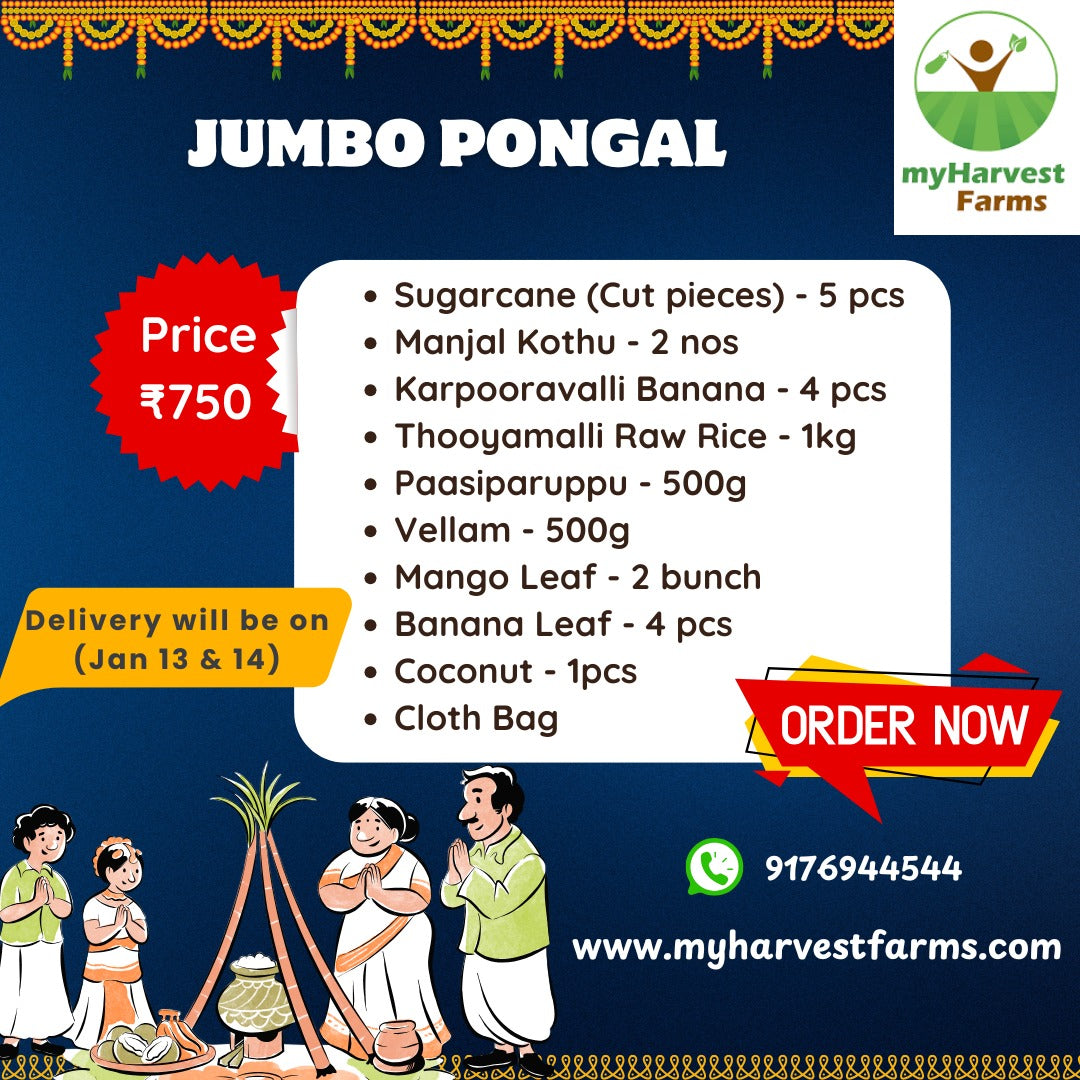 Jumbo Pongal Combo – Traditional Pongal Ingredients Kit | Jan 13 & 14 Delivery | Chennai Only