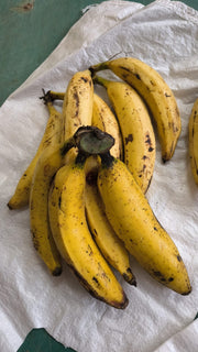 Nendram Banana