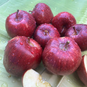 Kinnaur Red Apple