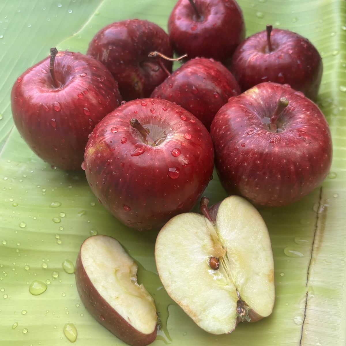 Kinnaur Red Apple