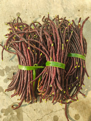 Red Kaaramani - Long Beans Red
