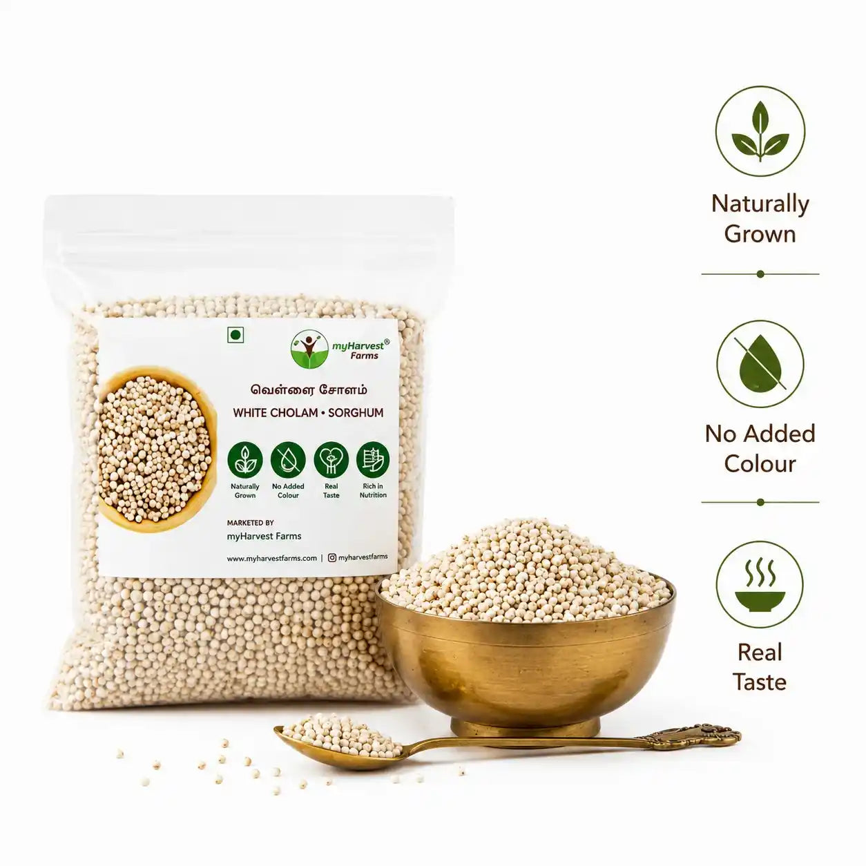 White Cholam - Sorghum