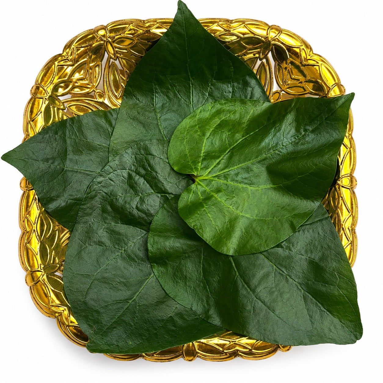 Betel Leaves