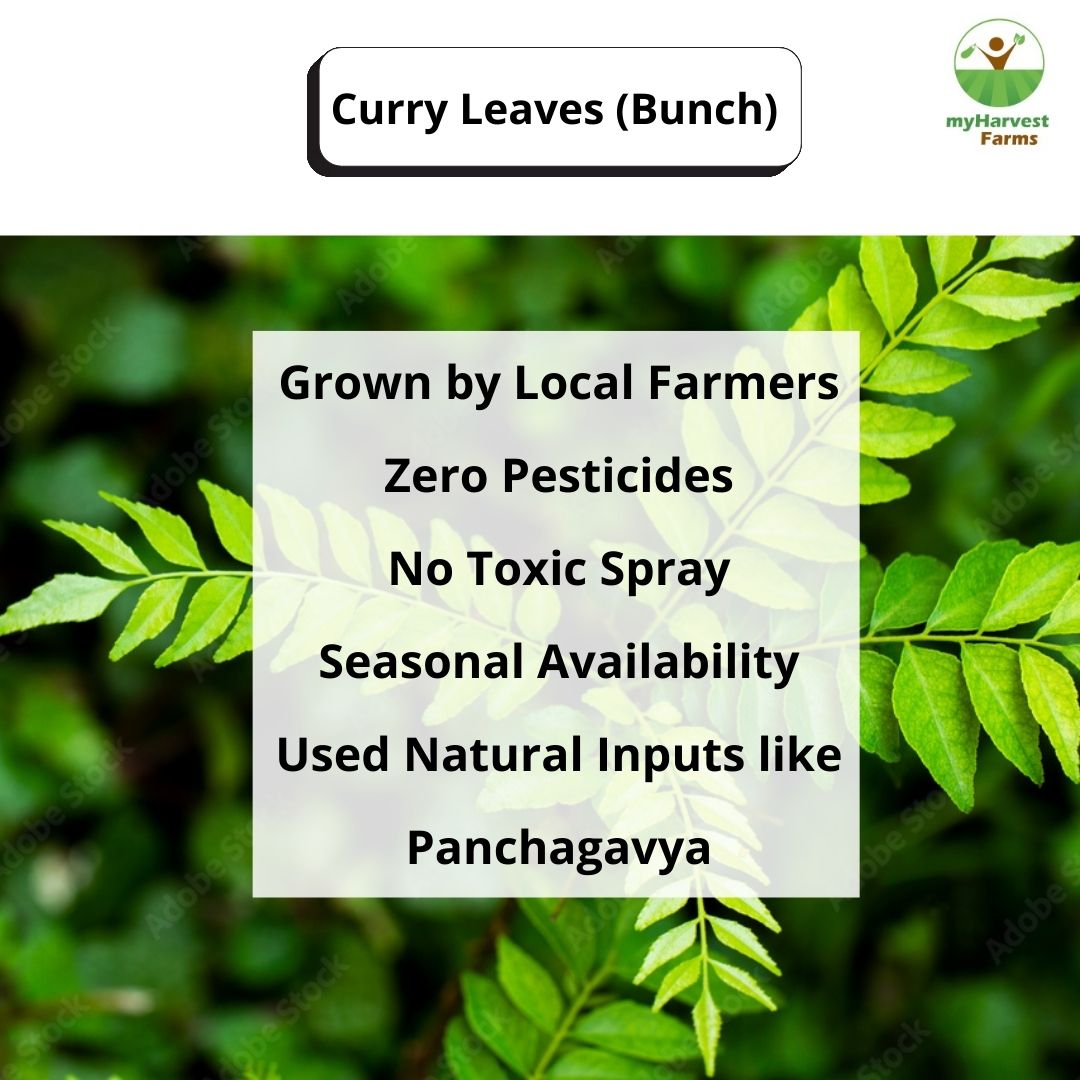 Curry Leaves